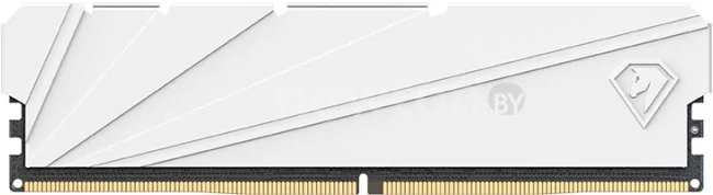 Оперативная память Netac Shadow S 8ГБ DDR4 2666 МГц NTSSD4P26SP-08W