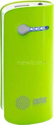 Портативное зарядное устройство CACTUS CS-PBX2-5200GW Green