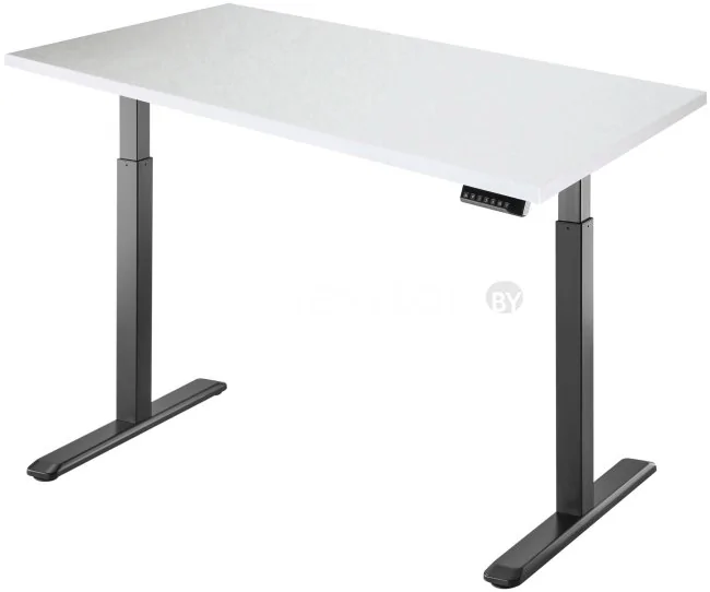 Стол для работы стоя ErgoSmart Electric Desk 1360x800x36 мм (альпийский белый/черный)