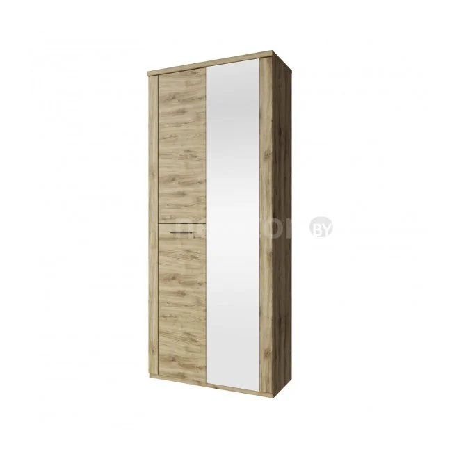 Шкаф распашной Anrex Doorset 2DZ (дуб наварра)