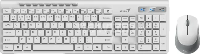Офисный набор Genius SlimStar 8230 (белый)