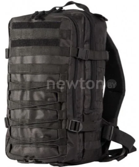 Туристический рюкзак Woodland Armada 1 20 л (черный)