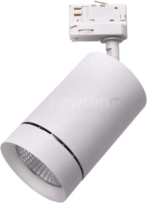 Трековый светильник Lightstar Canno 303562