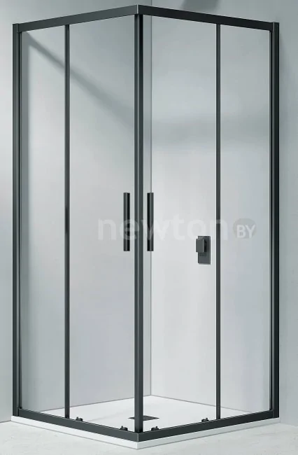 Душевой уголок Good Door Cofe CR-100-C-B
