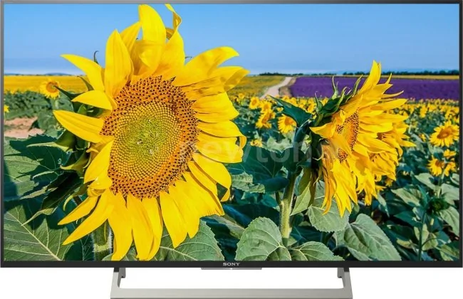 Телевизор Sony KD-43XF8096