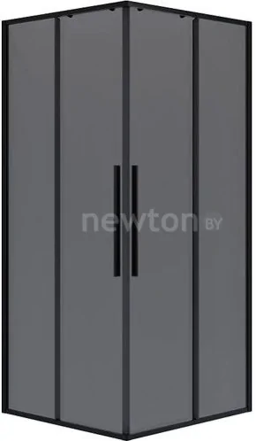 Душевой уголок Niagara NG-2822-34BLACK 80x80x195 (черный матовый/тонированное стекло)