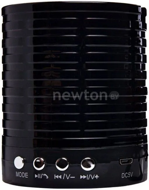 Беспроводная колонка ACTIV 889 (черный)