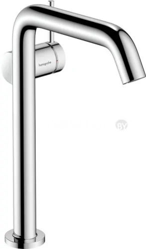 Смеситель Hansgrohe Tecturis S 73370000