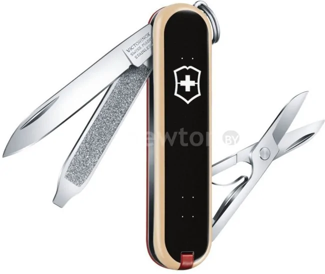 Мультитул Victorinox Classic Limited Edition 2020 Skateboarding 0.6223.L2003