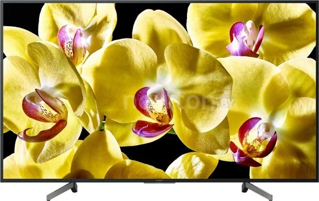 Телевизор Sony KD-43XG8096