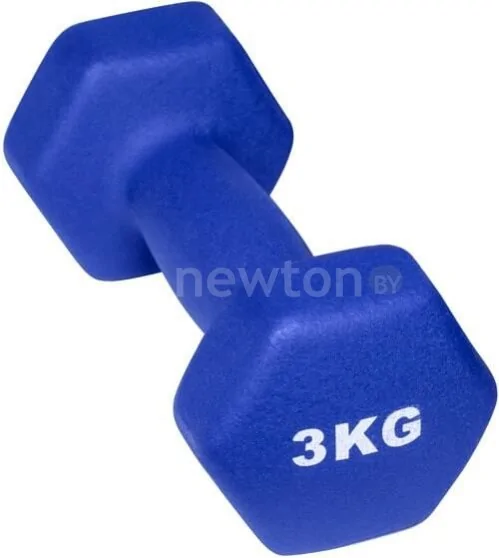 Гантель ProFit MDK-101-4 3 кг
