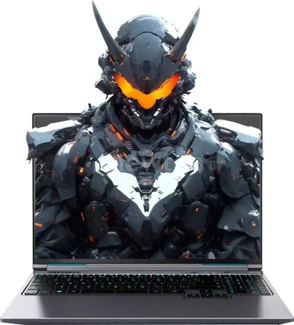 Игровой ноутбук Mechrevo Aurora X FGM-GM6AQ7C0009202