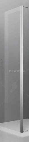 Душевая стенка RGW Z-050-3 90 (хром/прозрачное стекло)