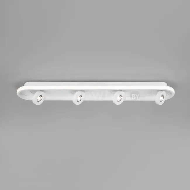 Спот Евросвет 20123/4 LED (белый)