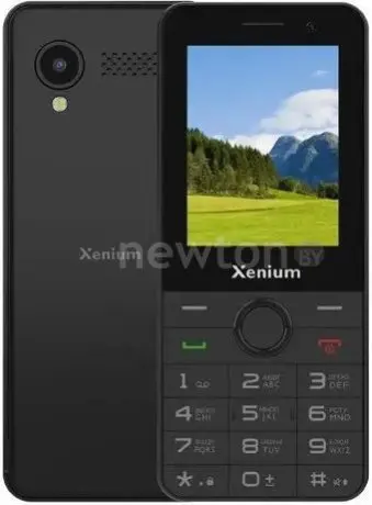 Кнопочный телефон Xenium X900 (черный)