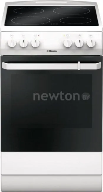 Кухонная плита Hansa FCCW580009