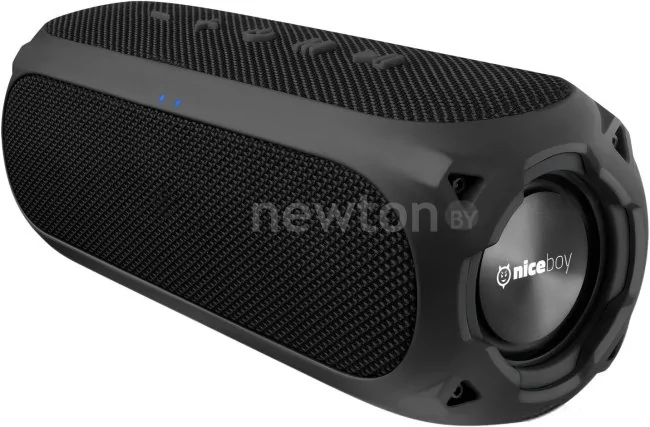 Беспроводная колонка Niceboy Raze 3 Radion