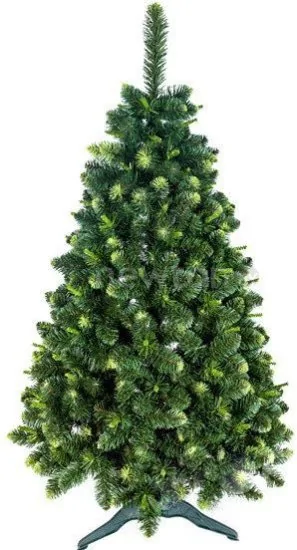 Сосна GreenTerra Сибирская с молодыми побегами 2.2 м