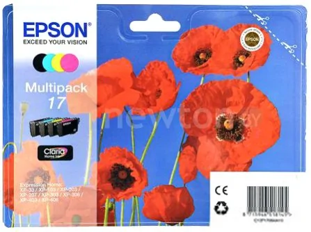 Картридж Epson C13T17064A10