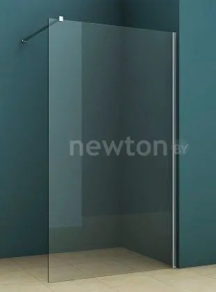 Душевая стенка Riho Novik Z400 100