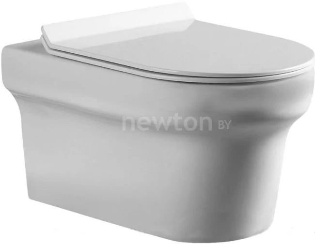 Унитаз Aquanet Nova Rimless BL-101N-WHT