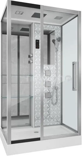 Душевая кабина Niagara NG-7713WL 120x82 (прозрачное стекло)