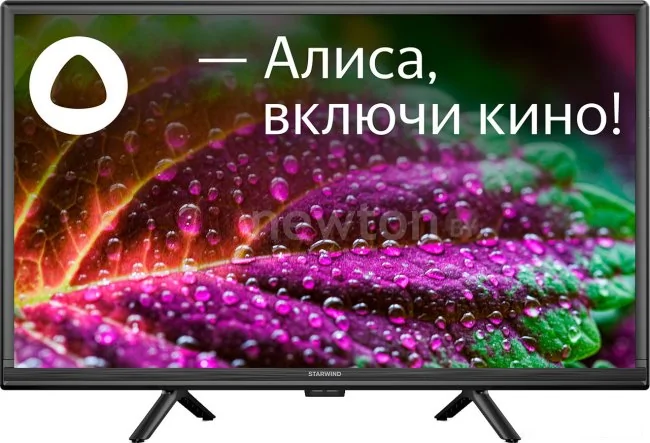 Телевизор StarWind SW-LED24SG304