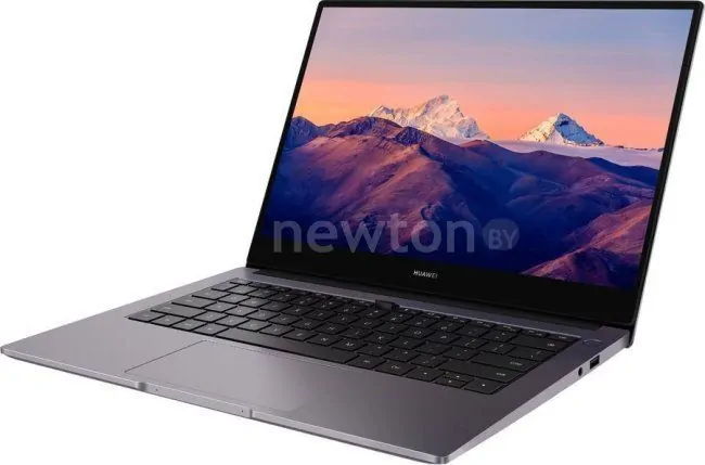 Ноутбук Huawei MateBook B3-420 53013FCU