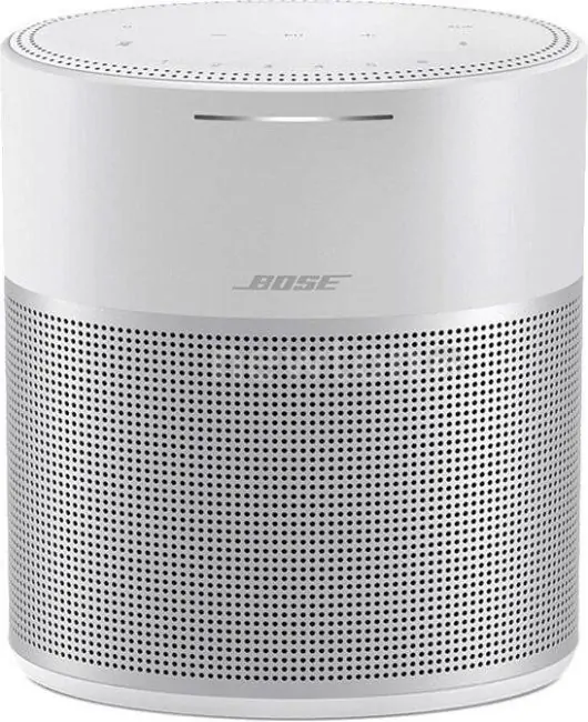 Умная колонка Bose Home Speaker 300 (серебристый)