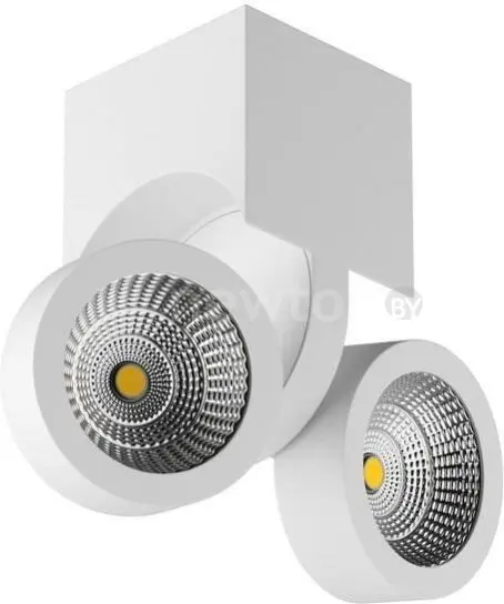 Точечный светильник Lightstar Snodo 55364