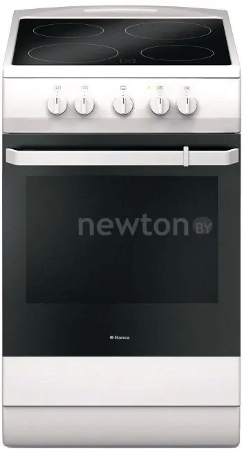 Кухонная плита Hansa FCCW53009
