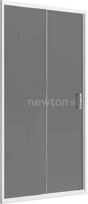 Душевая дверь Domani-Spa DoorCube 100x190 DS04DCb100L0T00.W
