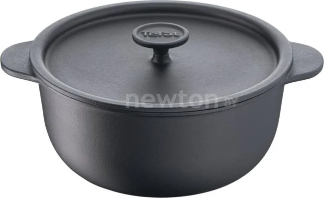 Кастрюля Tefal Tradition E2254604
