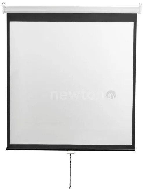 Проекционный экран Digis Optimal-D 273x157 DSOD-16906MW