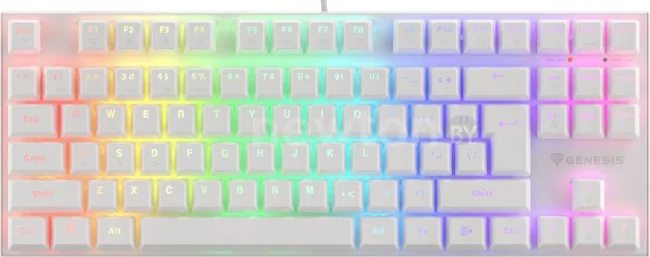Клавиатура Genesis Thor 303 TKL RGB (белый, нет кириллицы)