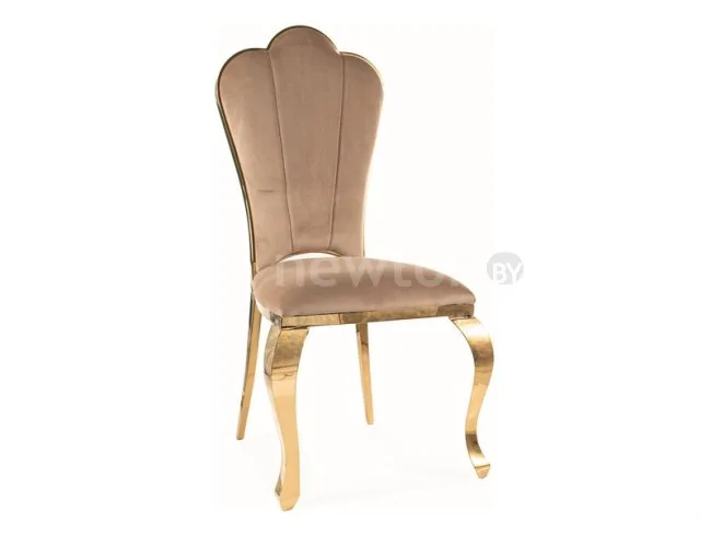 Стул Signal Queen Velvet Bluvel 28 (бежевый/золотой)