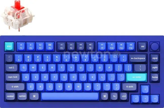 Клавиатура Keychron Q1 V2 RGB Q1-O1-RU (Gateron G Pro Red)