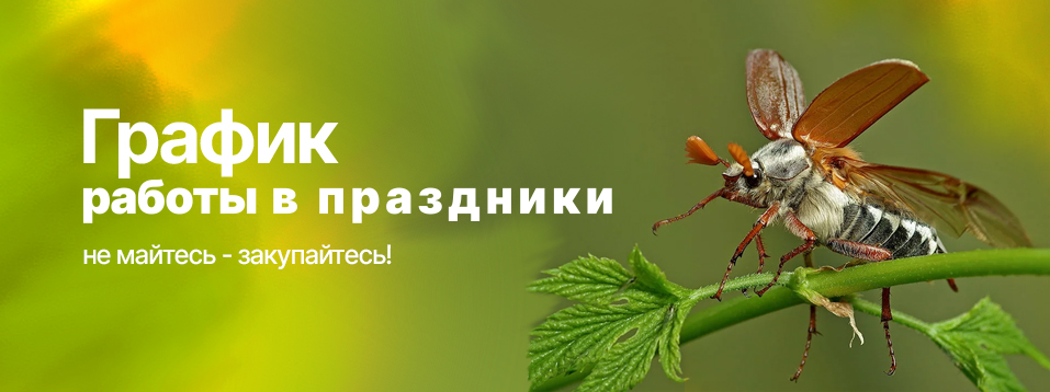 График работы в майские праздники 