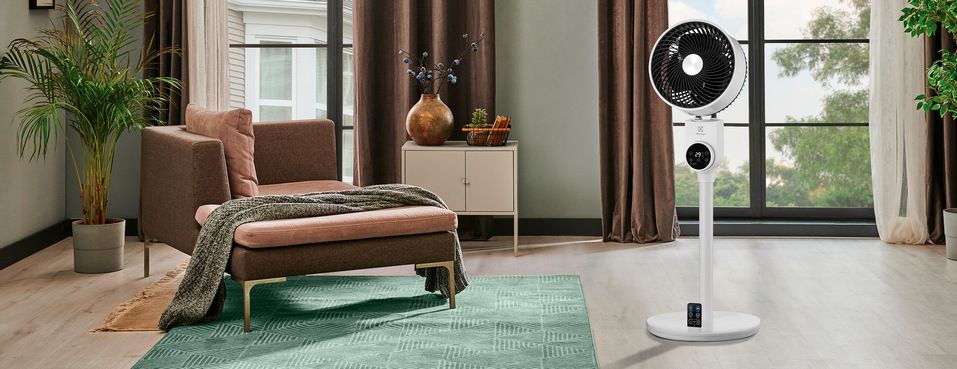 Вентилятор Electrolux