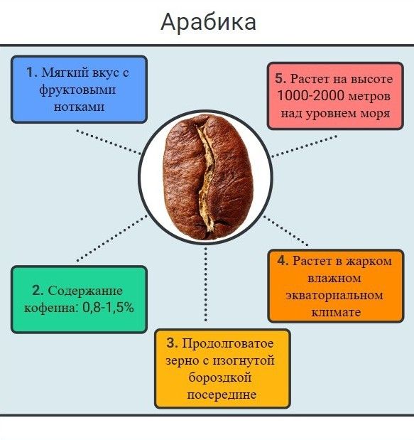 Арабика: особенности сорта