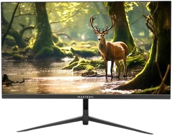 Монитор Mastero P2222H